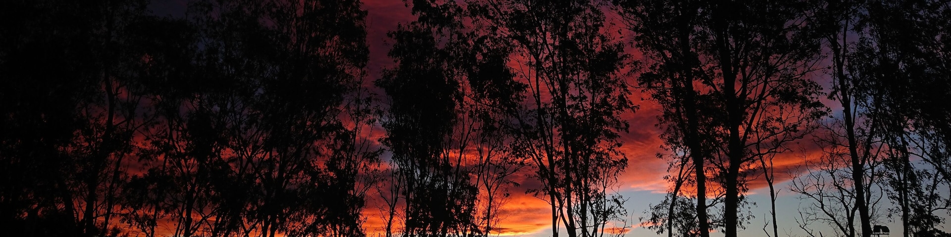 Night sky with bush fire smoke lit up by low sunset.