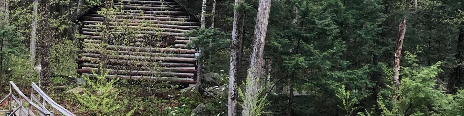 #greenstatepark
#foresttrail😁😁