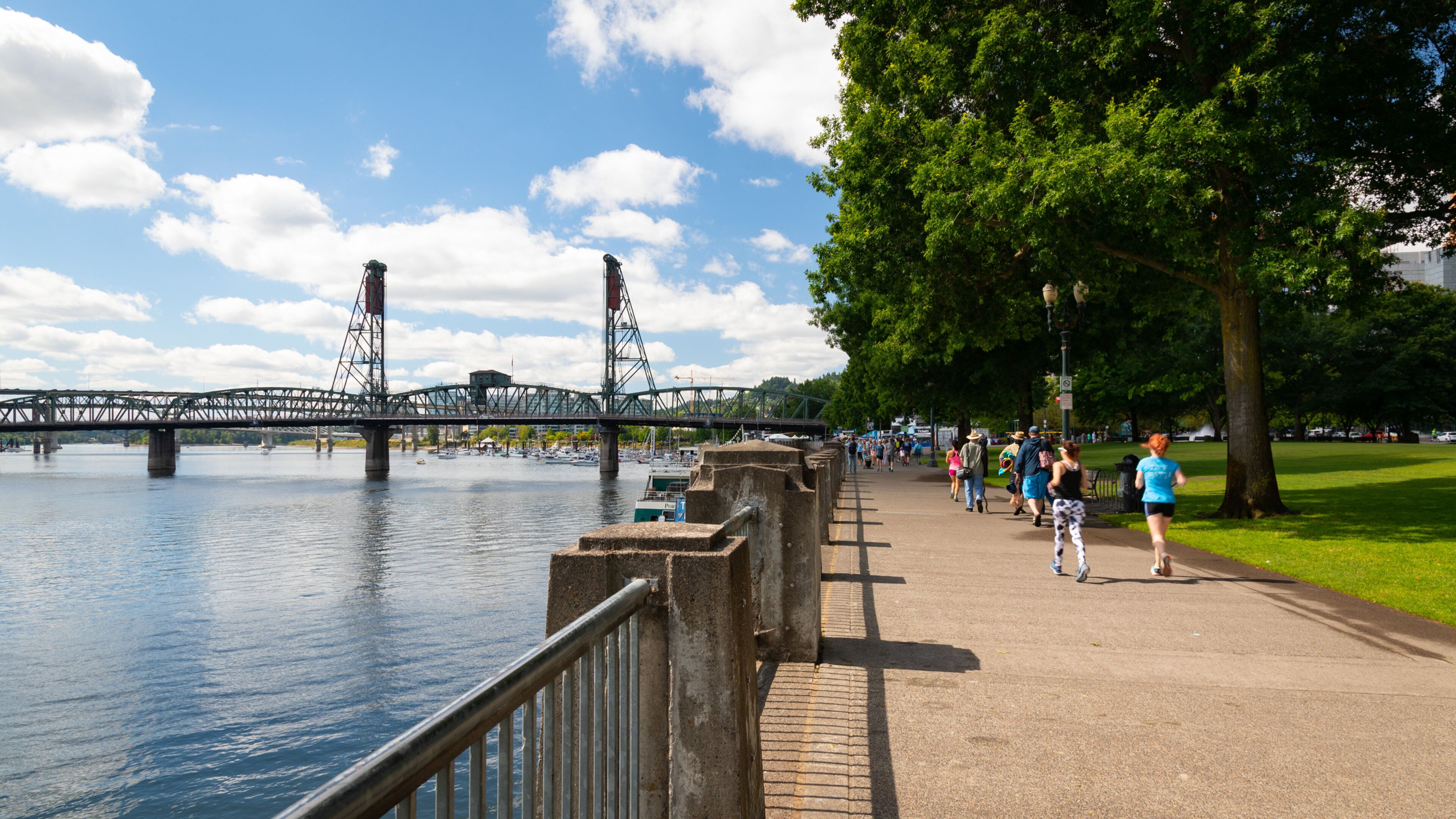 Hawthorne Bridge showing a bridge, a river or creek and a garden