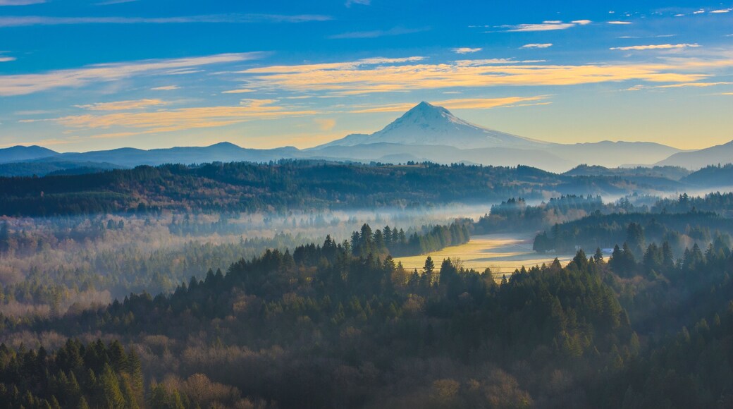 ジョンズラッド ビューポイント