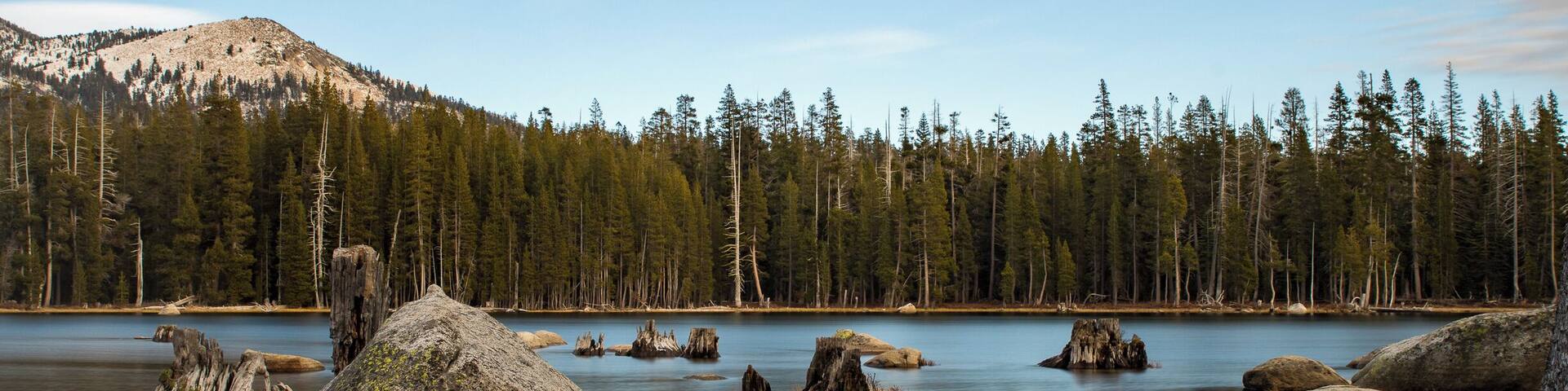 Oregon quality scenery in Northern California
