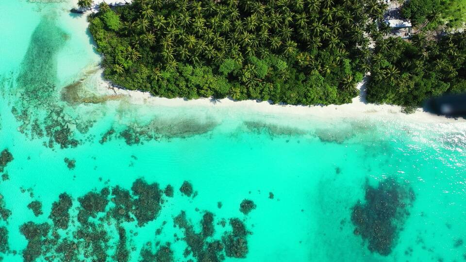 A turquoise sea with coral reefs, a sandy beach, and a dense tropical forest.