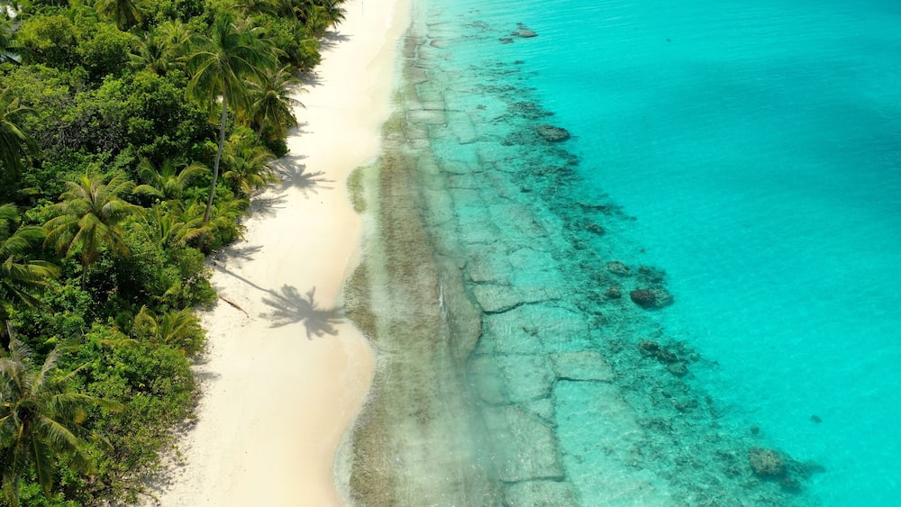 Une plage tropicale aux eaux turquoise et limpides, au sable blanc et à la végétation luxuriante.