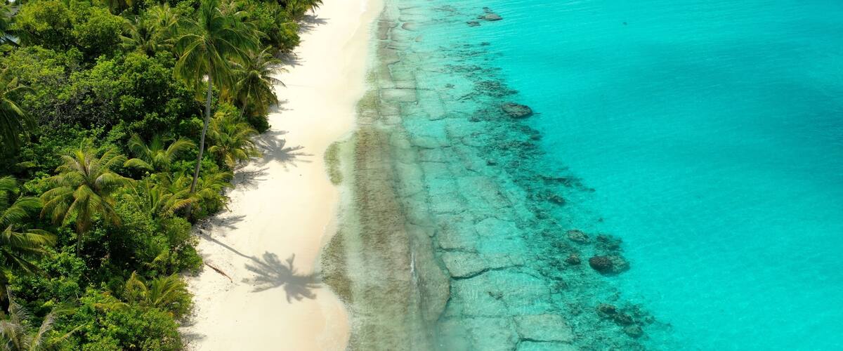 A tropical beach with clear turquoise waters, white sand, and dense green foliage.