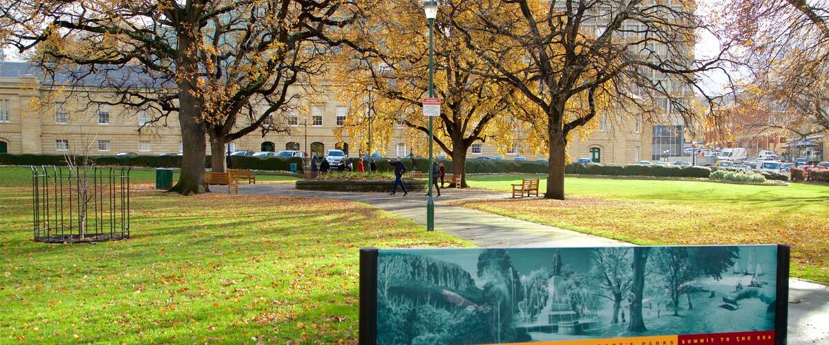 Parliament House showing autumn colours, a park and signage