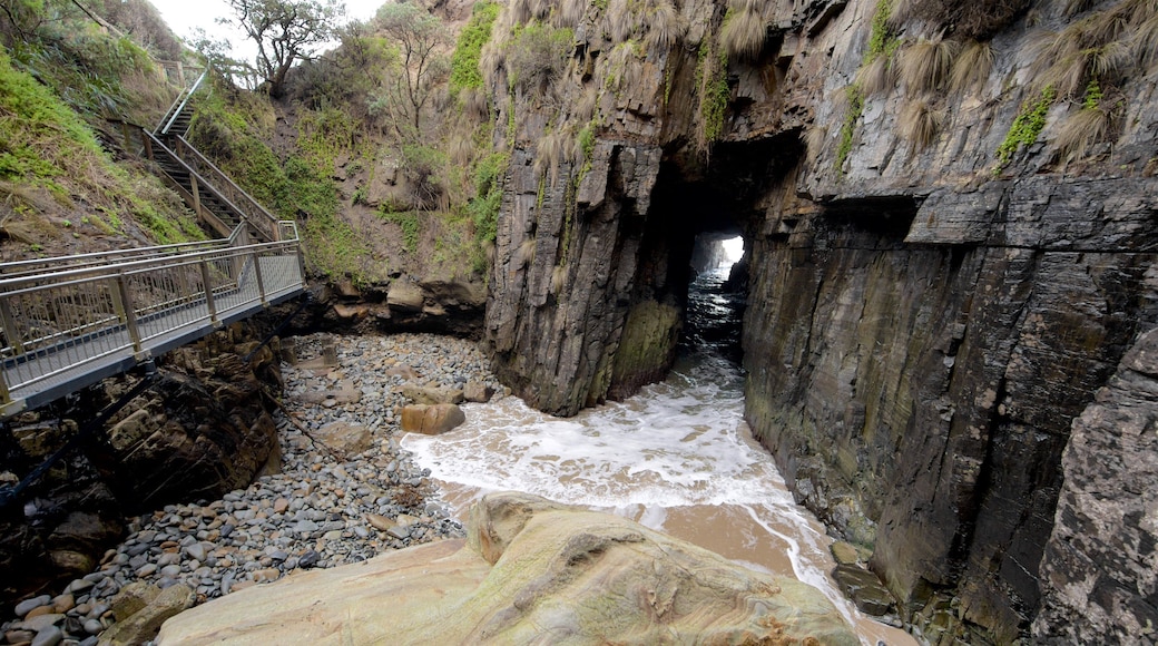 Remarkable Cave som inkluderer kyst, klippelandskap og huler