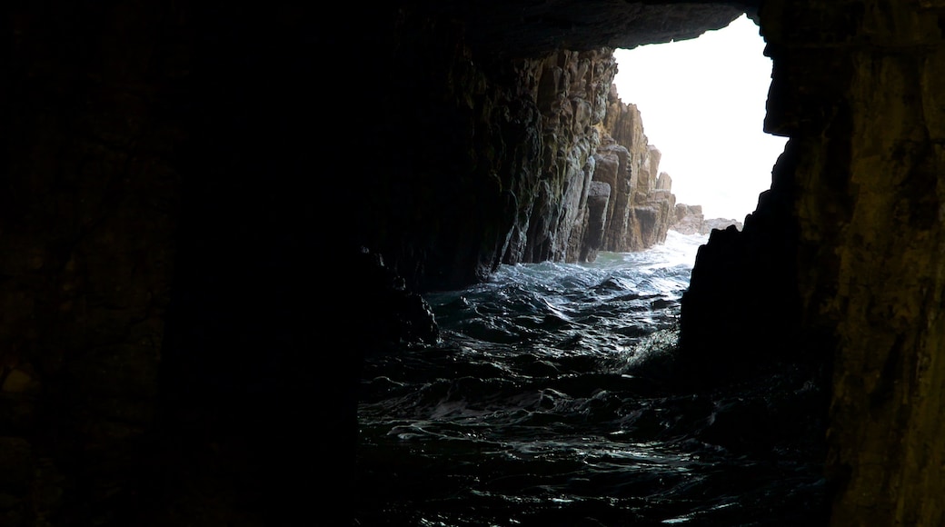 Remarkable Cave som viser stenete kystlinje og huler