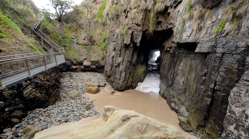 Remarkable Cave som inkluderer strand, klippelandskap og huler
