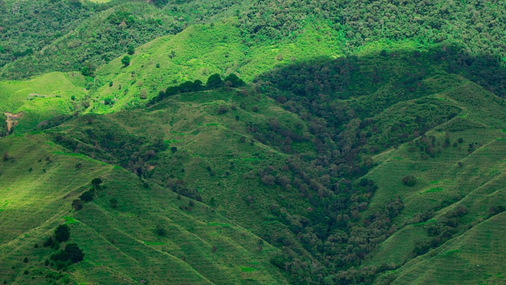 Green landscape in the city of Colombia, Colombian mountains , trees, summer, hike