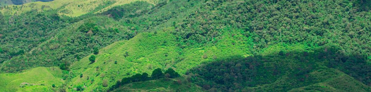 Green landscape in the city of Colombia, Colombian mountains , trees, summer, hike