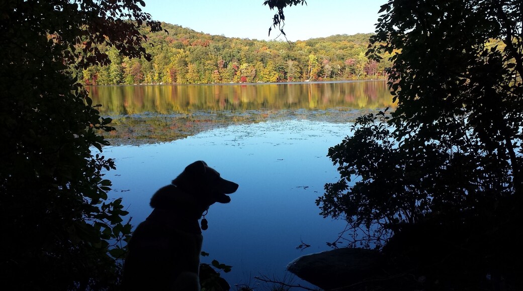 Love coming to this park. Went for a hike with my dog, Sunshine and we stopped here for a break. Loved the setting and the colors.