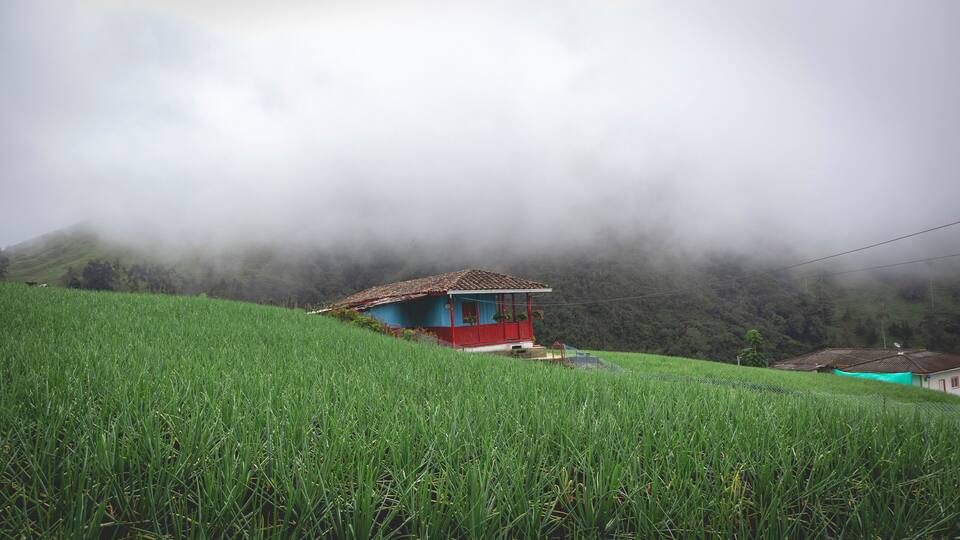 A rural house on a hillside surrounded by lush green fields and misty mountains.