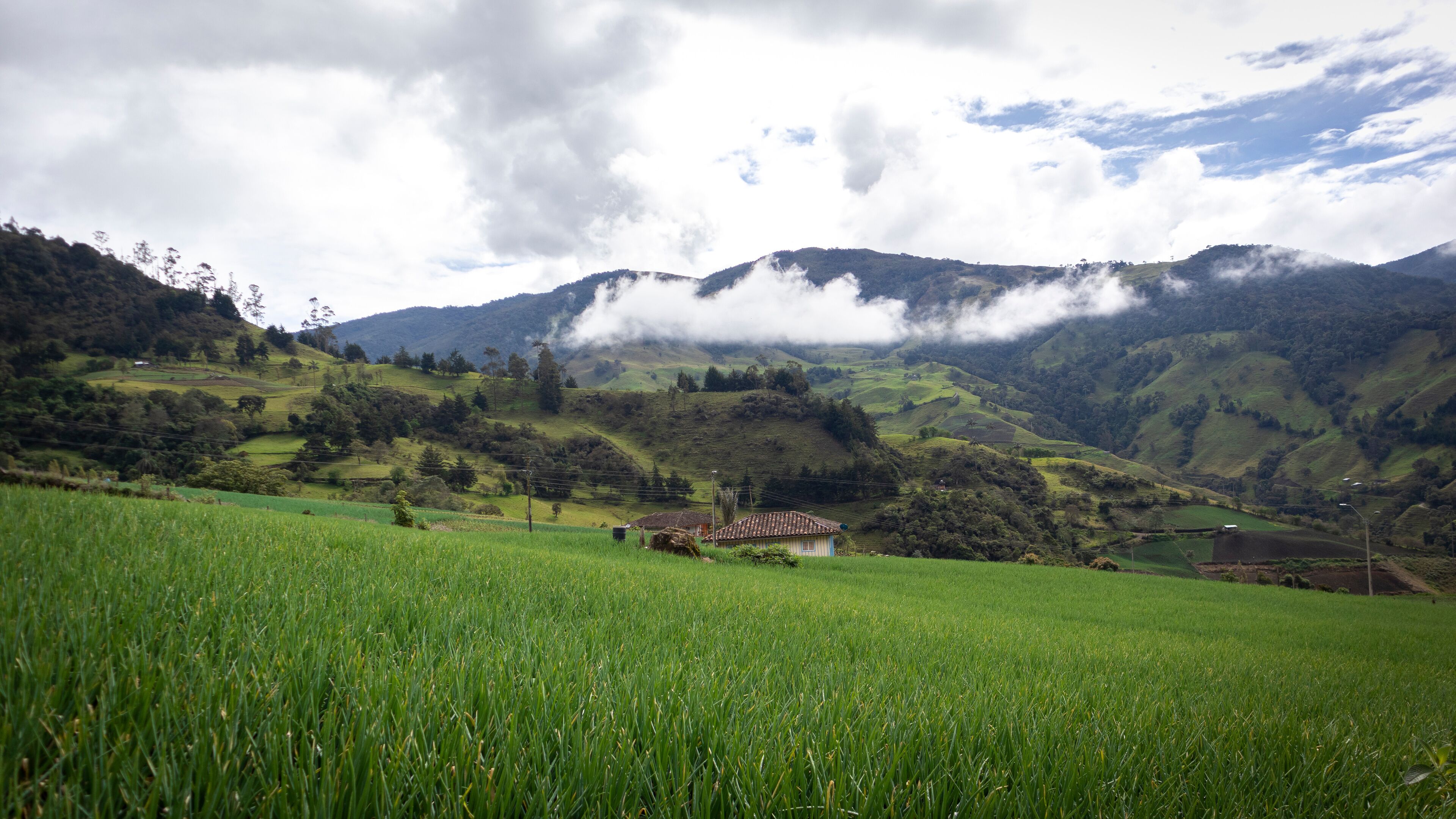 A lush green valley with rolling hills, a small house, and a mountain range in the background.
