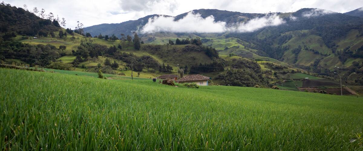 A lush green valley with rolling hills, a small house, and a mountain range in the background.