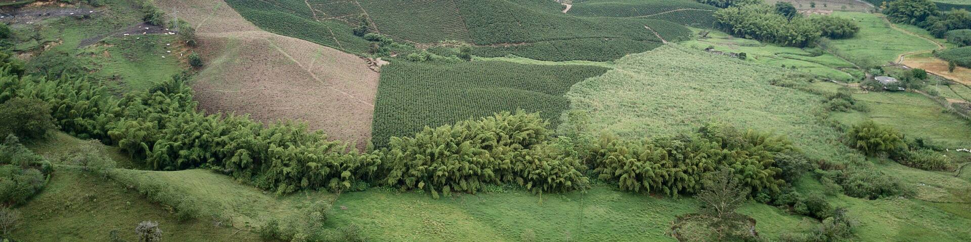 Paisaje Caldense, Chinchina Caldas Colombia, vista aerea del município
