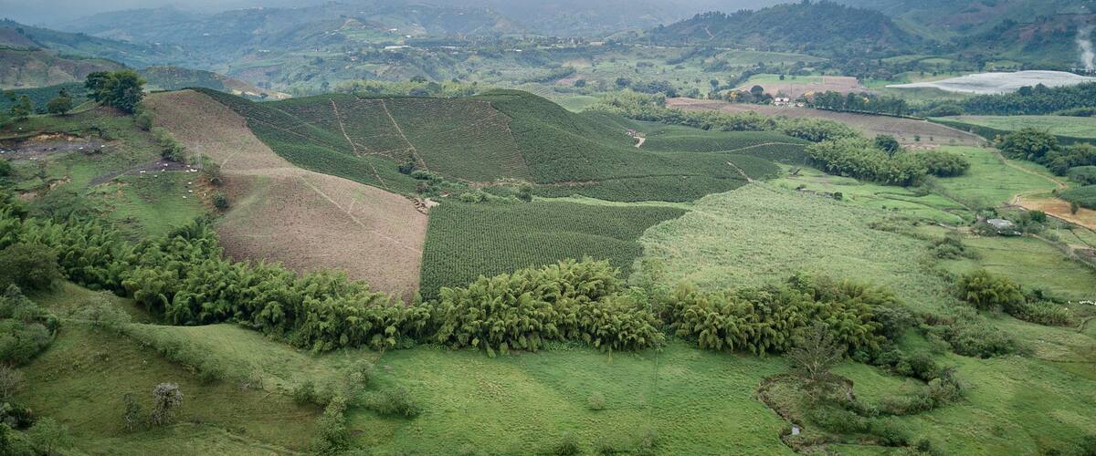 A lush green landscape with terraced fields and rolling hills.