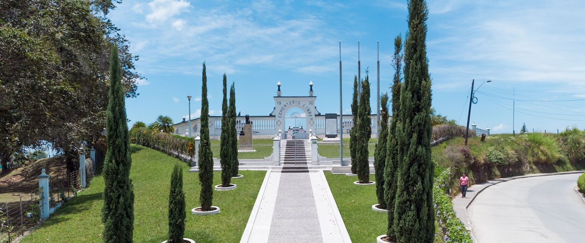 A formal garden with a central pathway leading to a building with a clock.