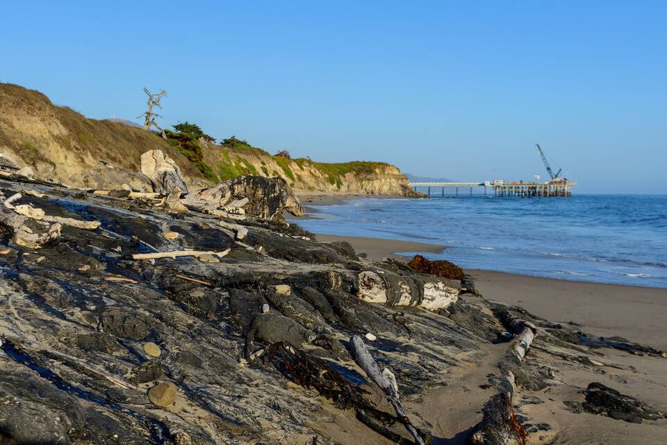 A rocky beach with driftwood, a pier, and a bridge in the background.