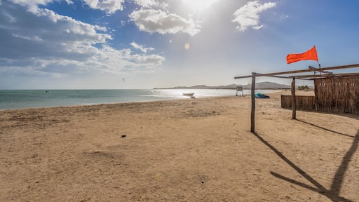 Palomino is one of the five corregimientos of the municipality of Dibulla, in La Guajira, Colombia