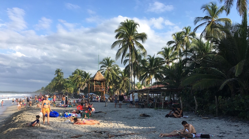 Beaches just to be discover ! In Colombia