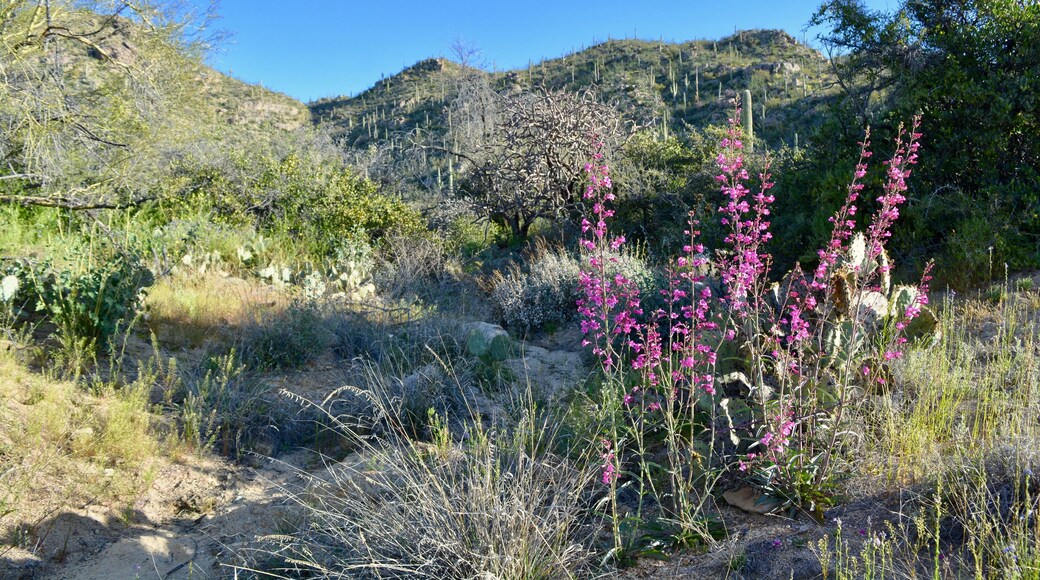 ํ ๋ฅดํจ๋ฆฌํ