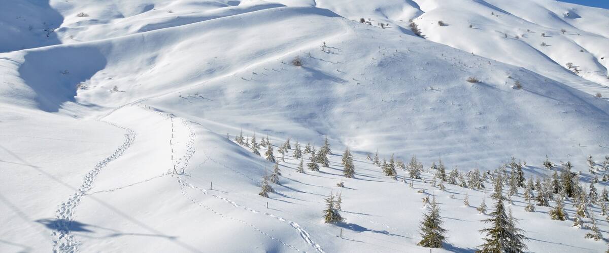 Snow covered mountain with fir trees on mountainside in Bozdağ, Ödemiş, İzmir.