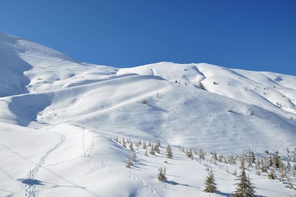 Snow covered mountain with fir trees on mountainside in Bozdağ, Ödemiş, İzmir.