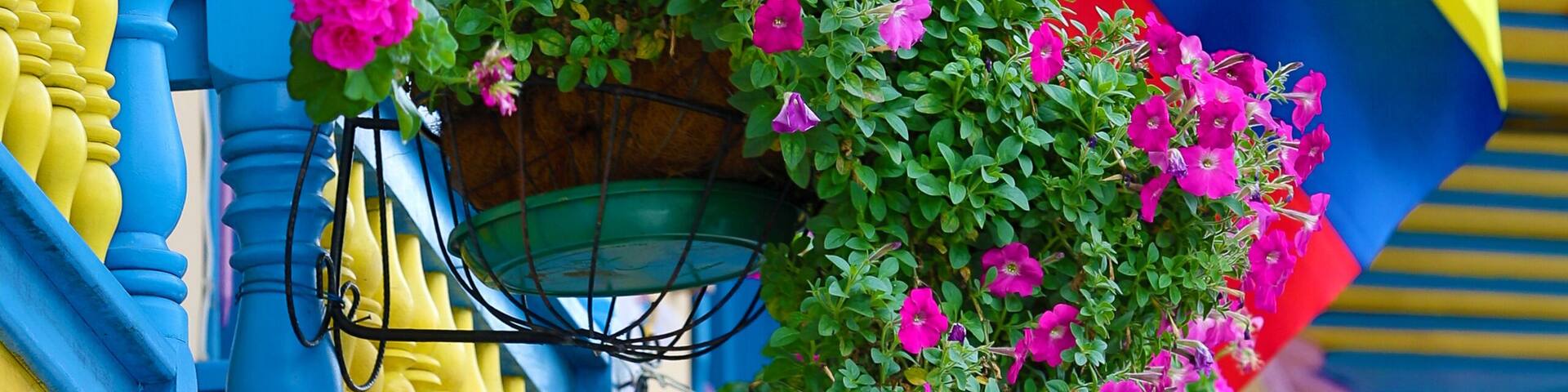 colonial balcony decorated with flowers in Filandia Colombia