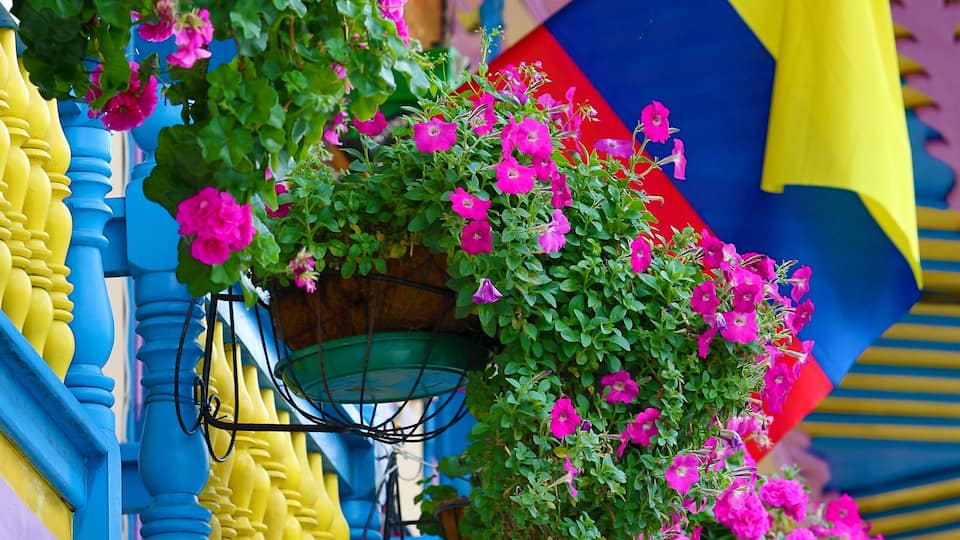 A colorful building with pink flowers and blue and yellow architectural details.