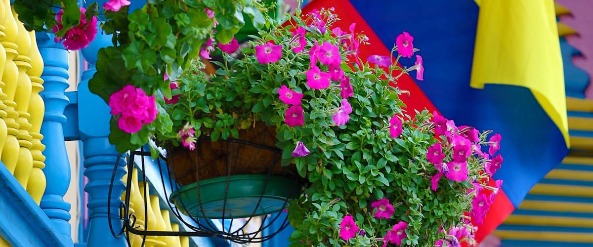 A colorful building with pink flowers and blue and yellow architectural details.
