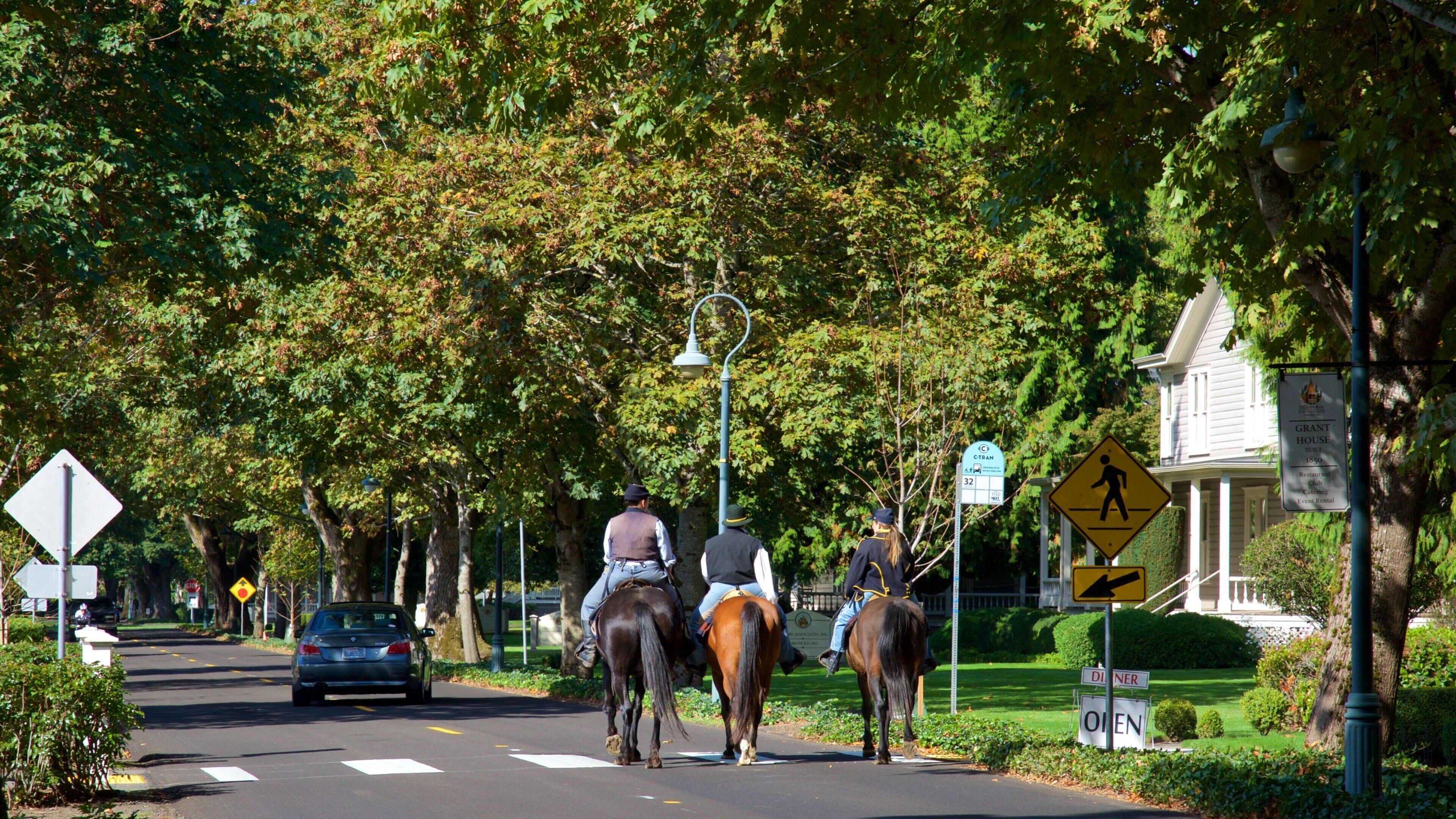 オフィサーズ ロウ フィーチャー 乗馬, 公園 と ストリート シーン