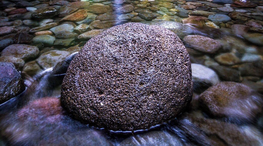 Wandering is good for the soul... especially if it brings you through chest deep water to see Oneonta Falls!
#travel #oregon #hiking #adventure #colorful #roadtrip #waterfalls #landscape #endlesssummer