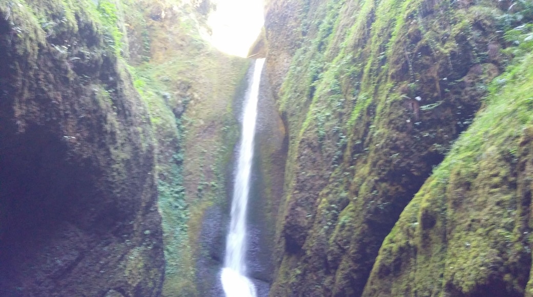 This is a beautiful walk down a wonderful river that ends with a beautiful waterfall.