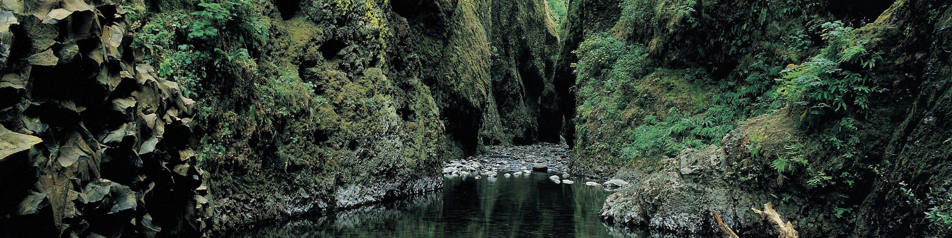 A still pool in Oneonta Gorge, Columbia River, Washington, Oregon, USA