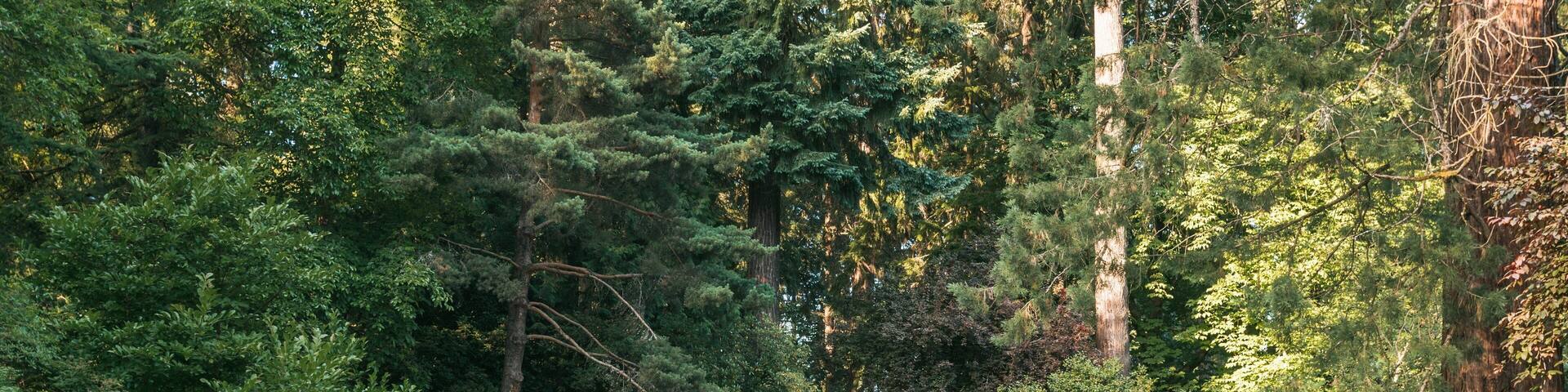Oregon Holocaust Memorial