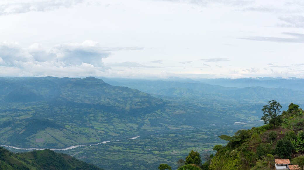 Coffee plantation in Jerico, Colombia in the state of Antioquia with the view of river Cauca in be background