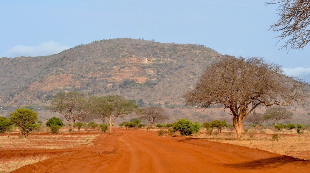 The start of a long hard journey from Savo West to Saltlick in Kenya