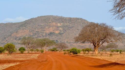 The start of a long hard journey from Savo West to Saltlick in Kenya