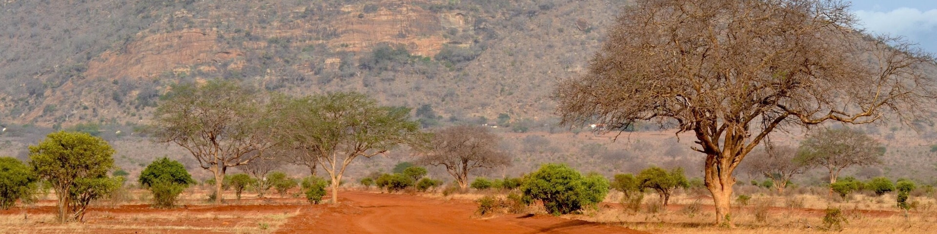 The start of a long hard journey from Savo West to Saltlick in Kenya