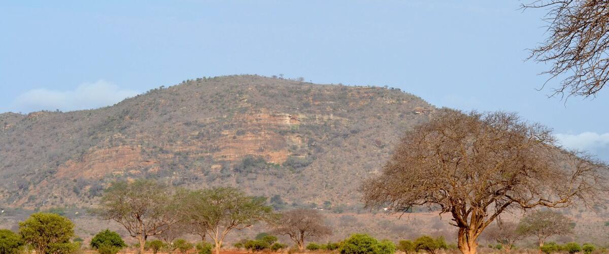 A dirt road leading towards a hill with sparse trees and a clear sky.