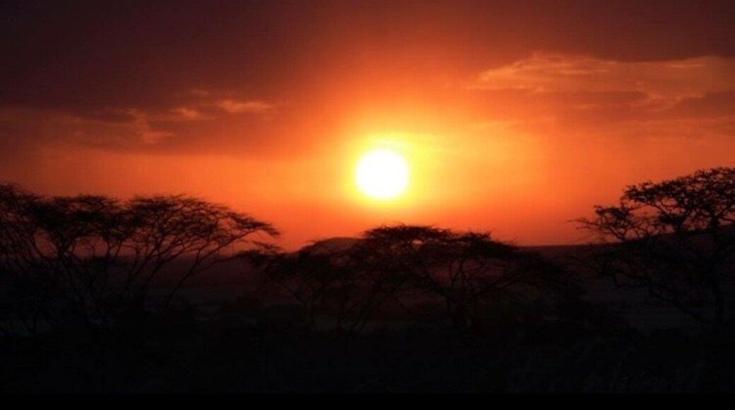 Wow was Amazing to see in the Middle of masia marri Kenya