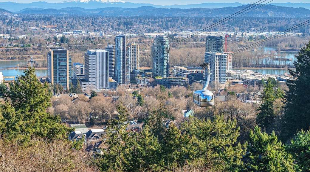 Aerial tram transporting people to the top.