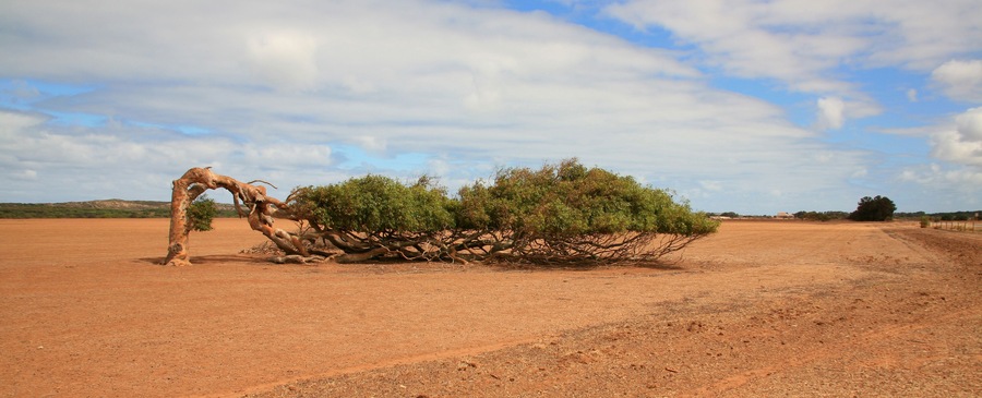 australien_07_01100,01