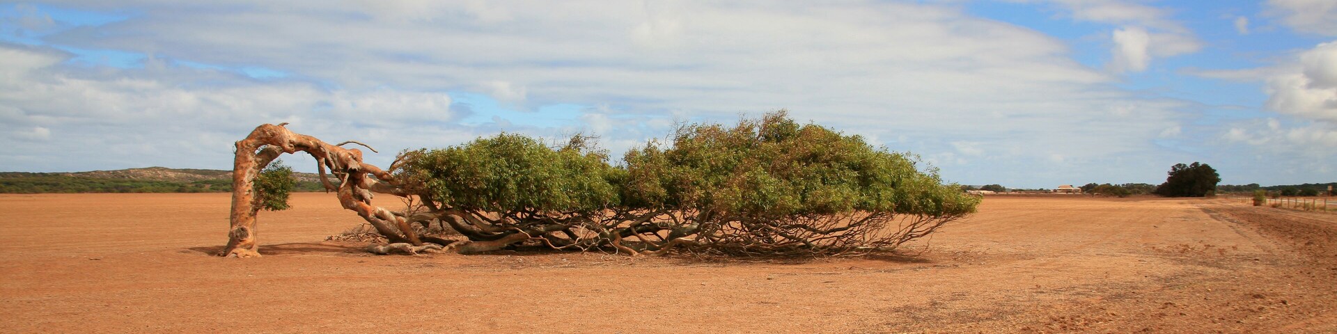 australien_07_01100,01