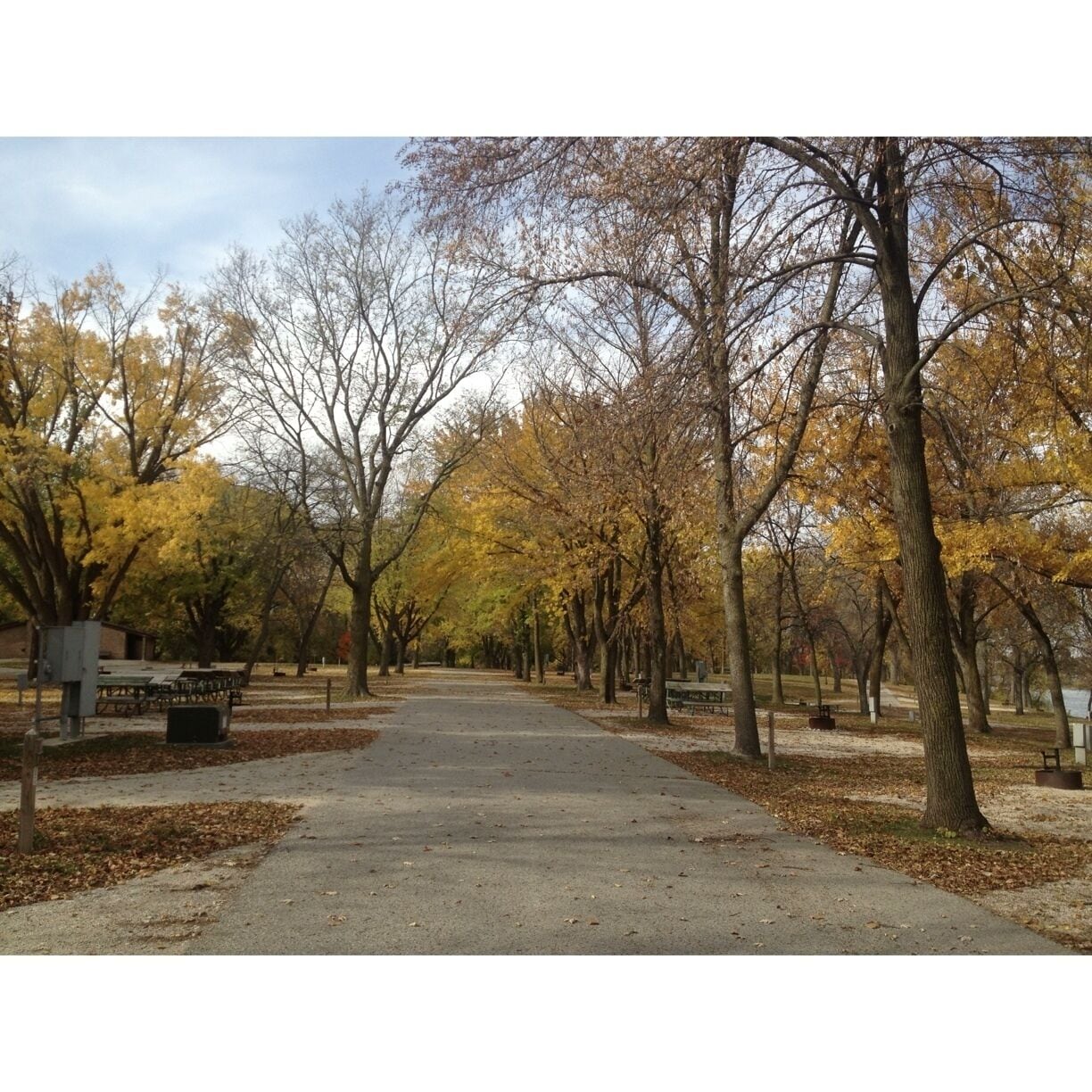 Campground near Black Hawk Lake, early November and Autumn is in full swing.