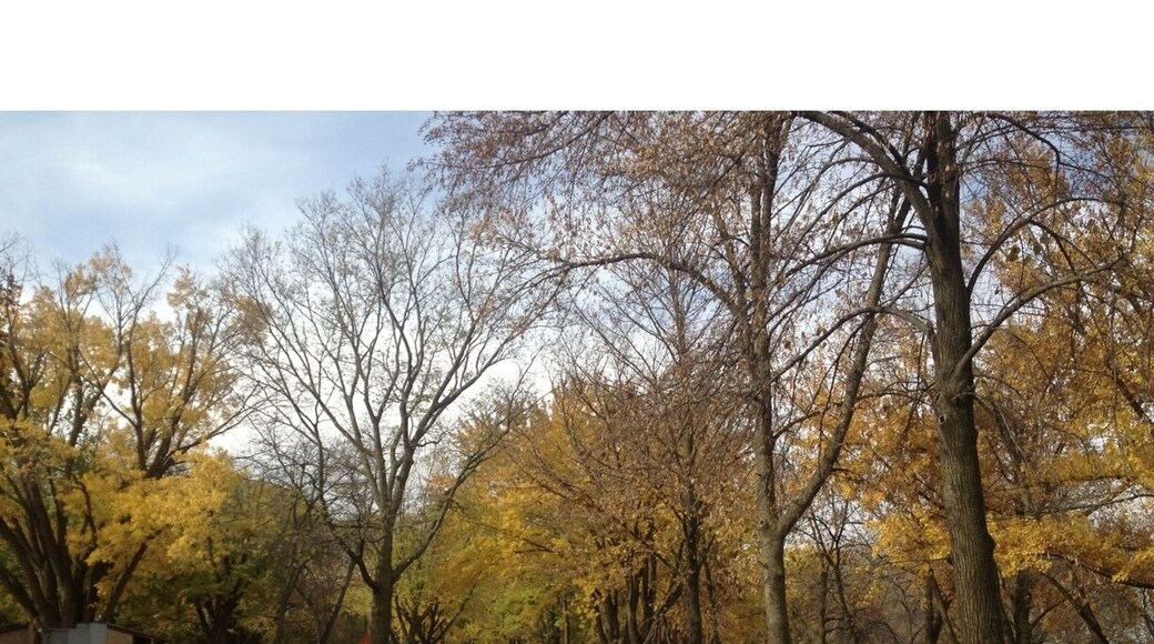 Campground near Black Hawk Lake, early November and Autumn is in full swing.