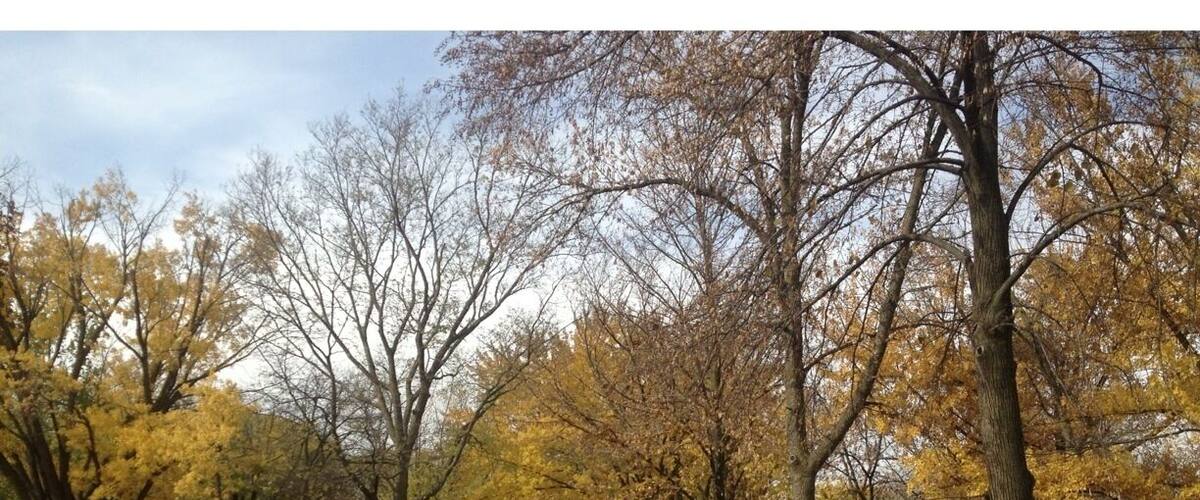 Campground near Black Hawk Lake, early November and Autumn is in full swing.
