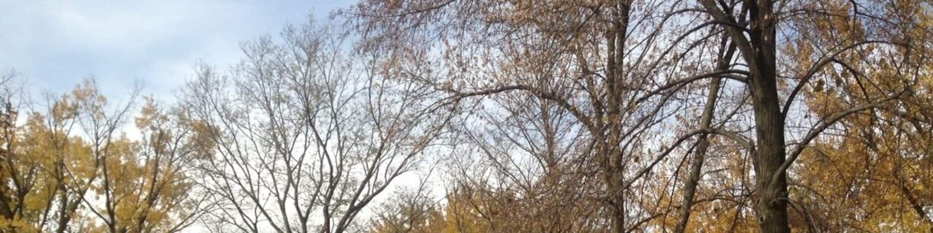 Campground near Black Hawk Lake, early November and Autumn is in full swing.