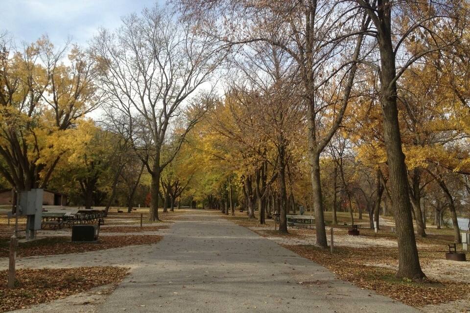 Un sendero en un parque bordeado de árboles con follaje otoñal.