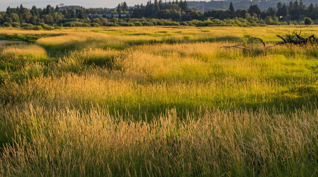 Tualatin River National Wildlife Refuge